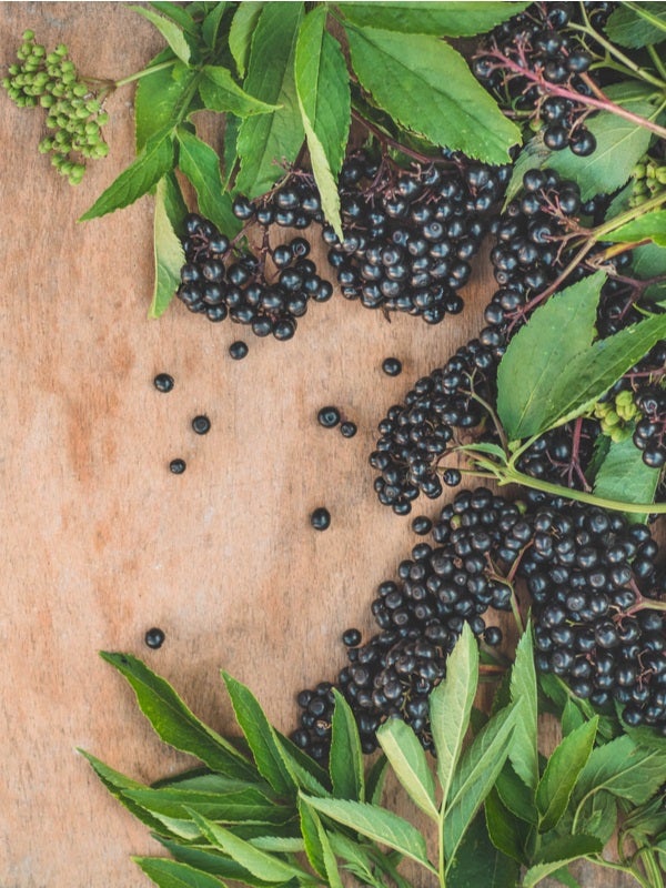 Elderberry on a wooden table