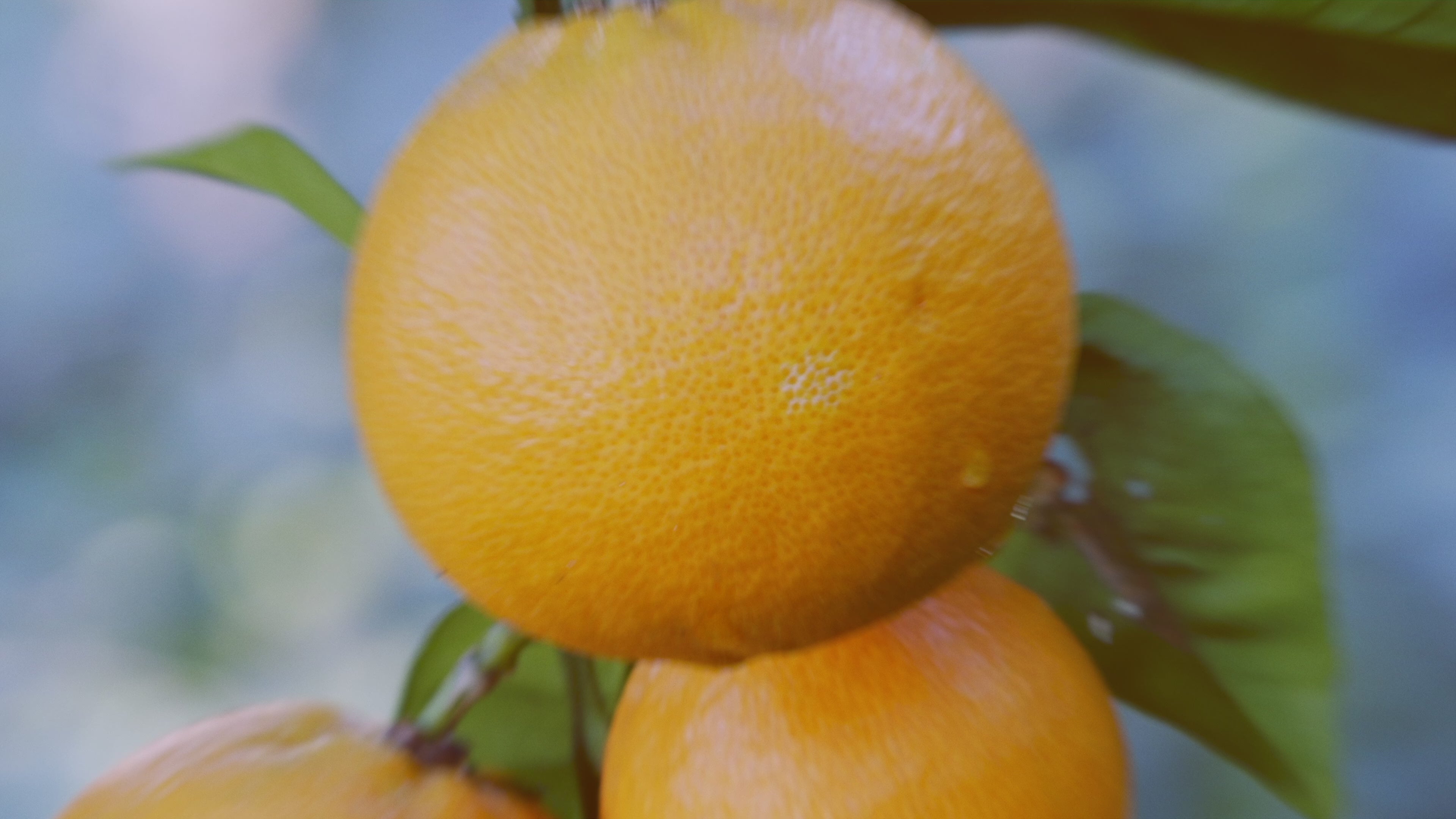 Liposomal Vitamin C Video 